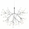 Moooi Heracleum III Small