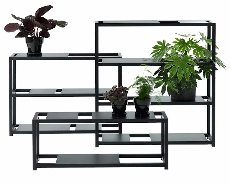 Adea The Botanic Shelf